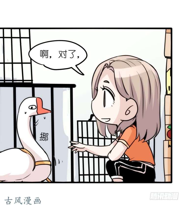 进化之基家有鹅霸：真霸霸，先包个塘