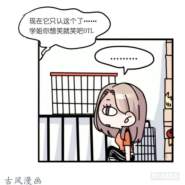 进化之基家有鹅霸：真霸霸，先包个塘