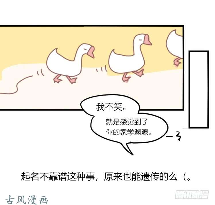 进化之基家有鹅霸：真霸霸，先包个塘