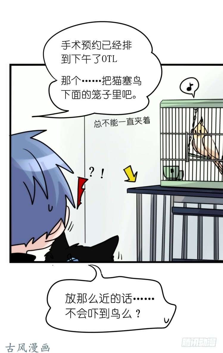 进化之基家有鹅霸：真霸霸，先包个塘