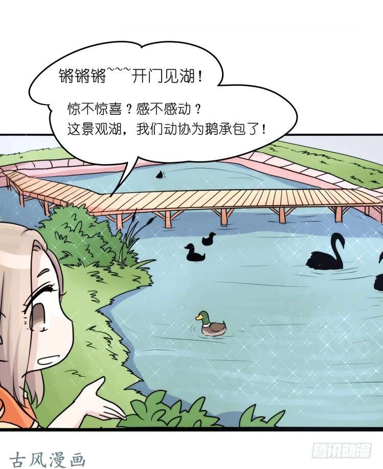 进化之基家有鹅霸：真霸霸，先包个塘