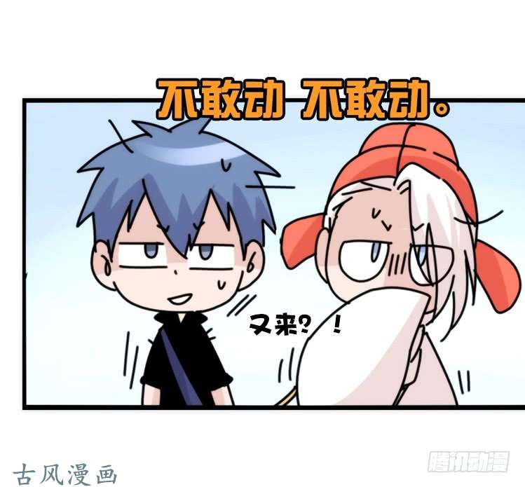 进化之基家有鹅霸：真霸霸，先包个塘