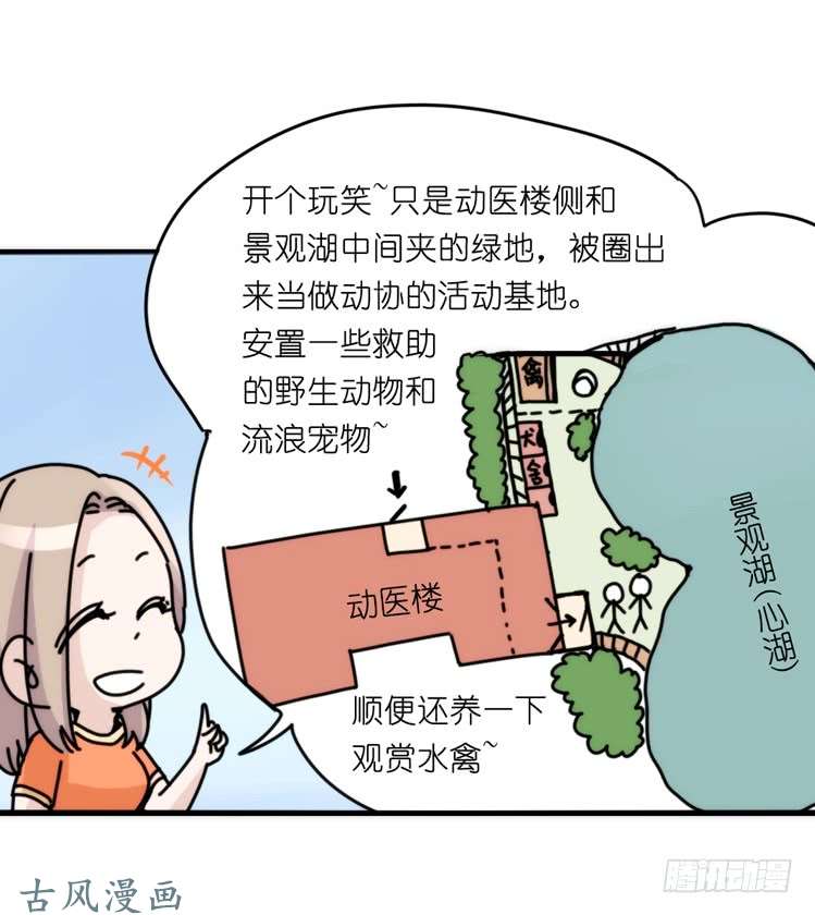 进化之基家有鹅霸：真霸霸，先包个塘