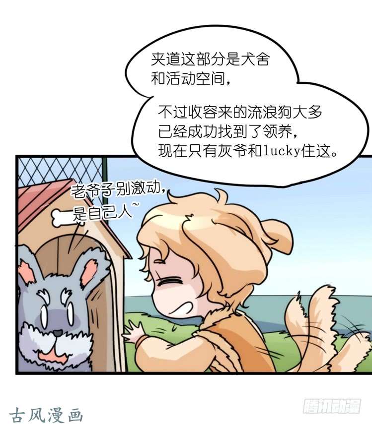 进化之基家有鹅霸：真霸霸，先包个塘