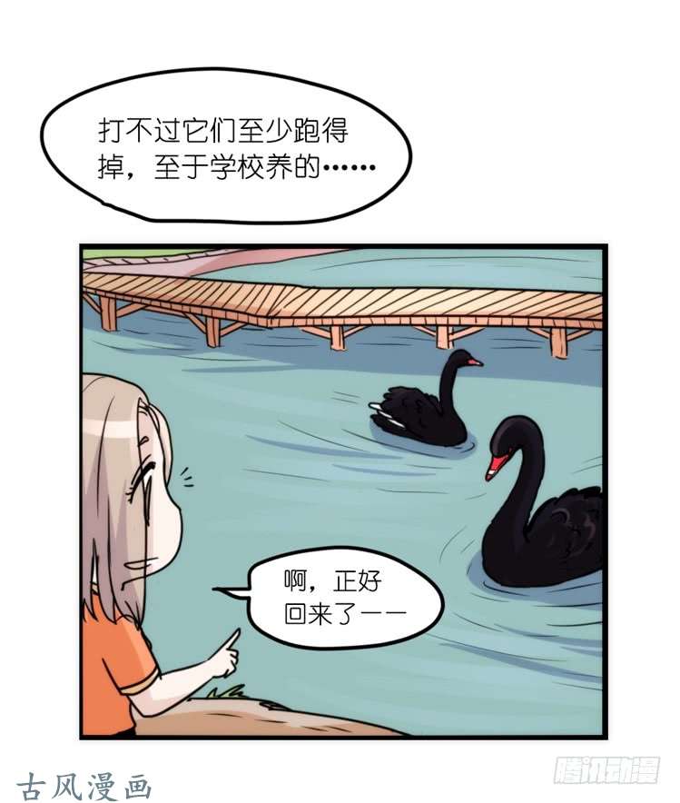 进化之基家有鹅霸：真霸霸，先包个塘