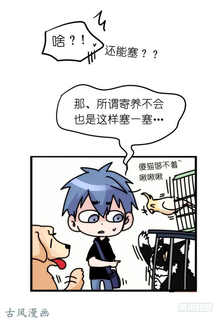 进化之基家有鹅霸：真霸霸，先包个塘