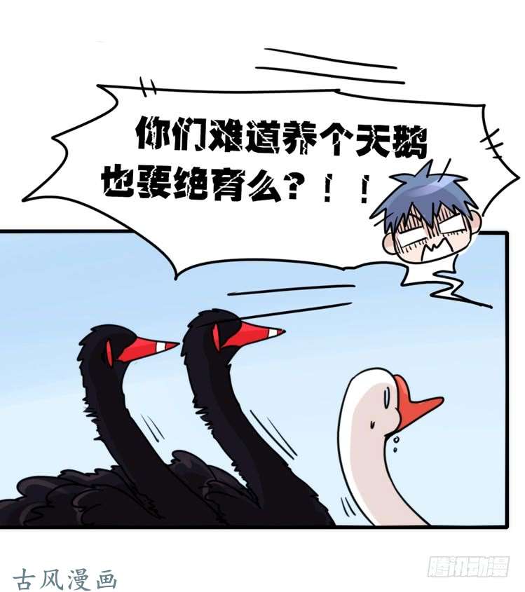 进化之基家有鹅霸：校方认证彩虹风景线