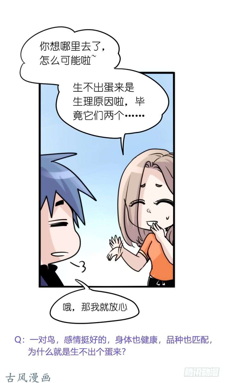 进化之基家有鹅霸：校方认证彩虹风景线