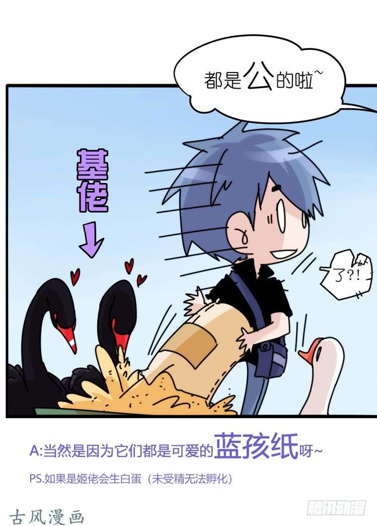 进化之基家有鹅霸：校方认证彩虹风景线