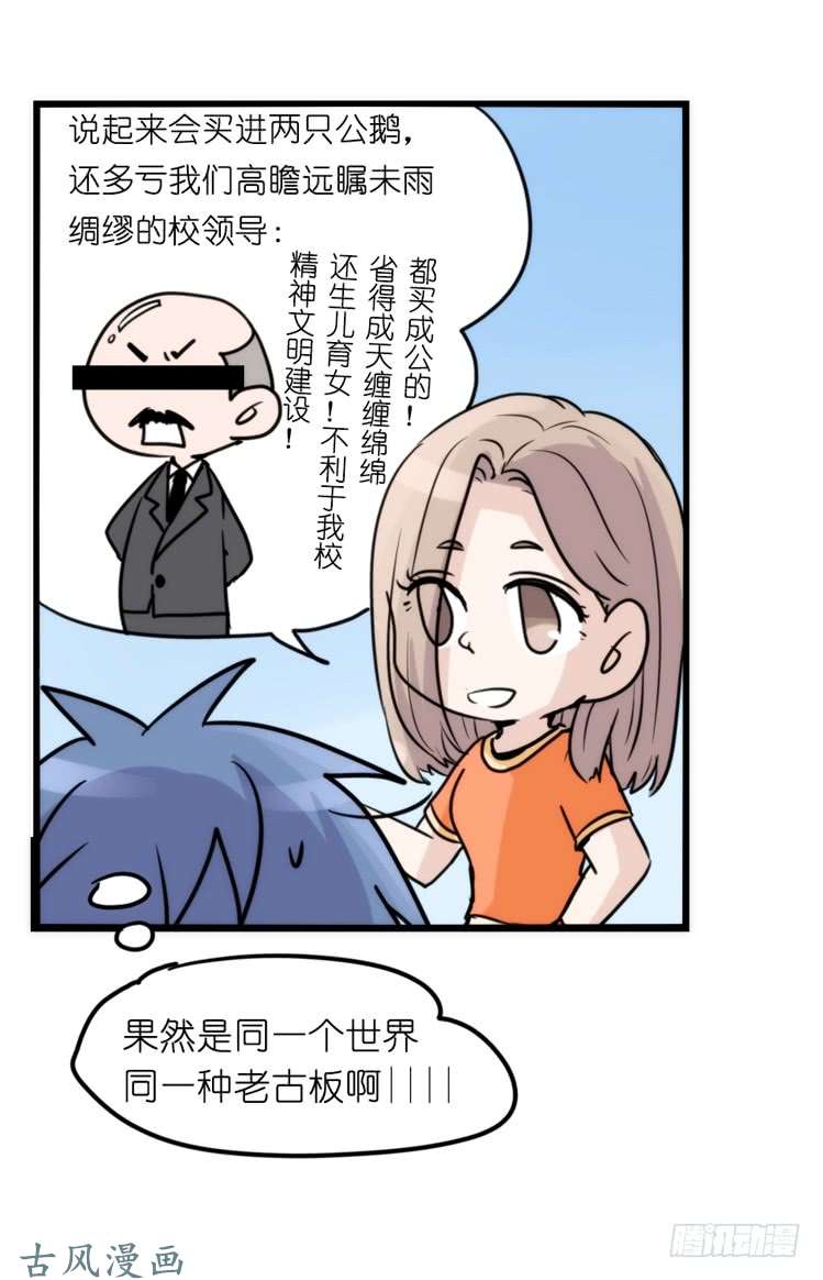 进化之基家有鹅霸：校方认证彩虹风景线