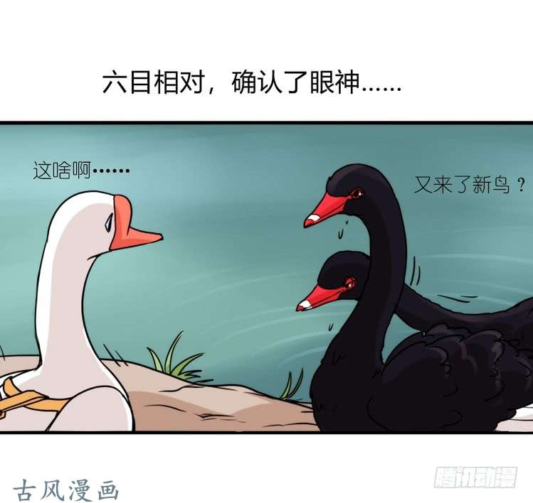 进化之基家有鹅霸：校方认证彩虹风景线