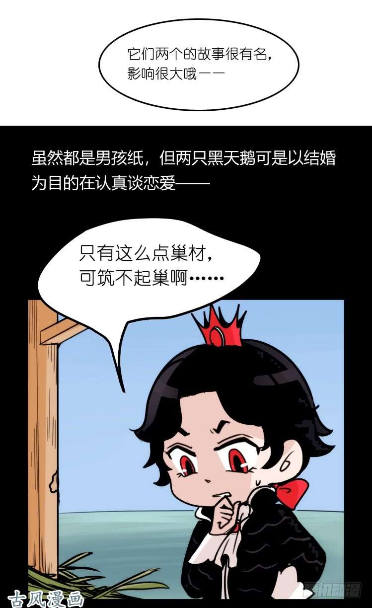 进化之基家有鹅霸：校方认证彩虹风景线