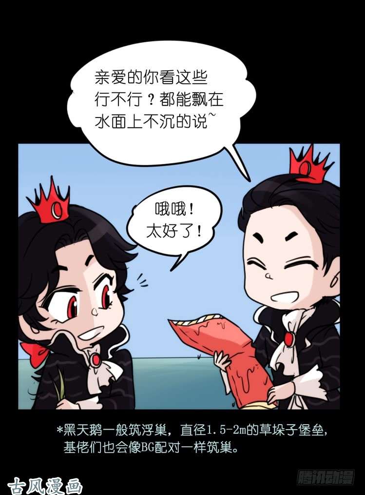 进化之基家有鹅霸：校方认证彩虹风景线