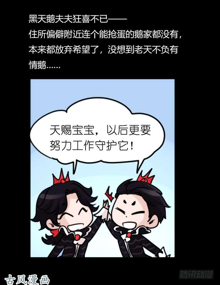 进化之基家有鹅霸：校方认证彩虹风景线