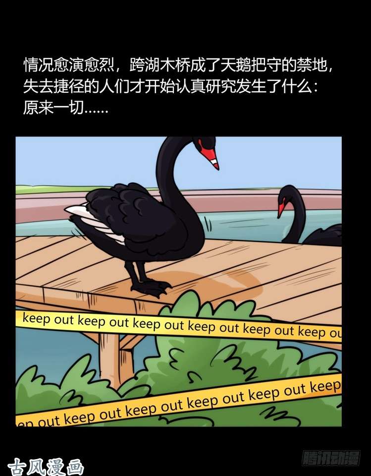 进化之基家有鹅霸：校方认证彩虹风景线