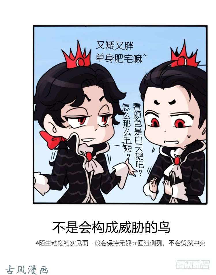 进化之基家有鹅霸：校方认证彩虹风景线