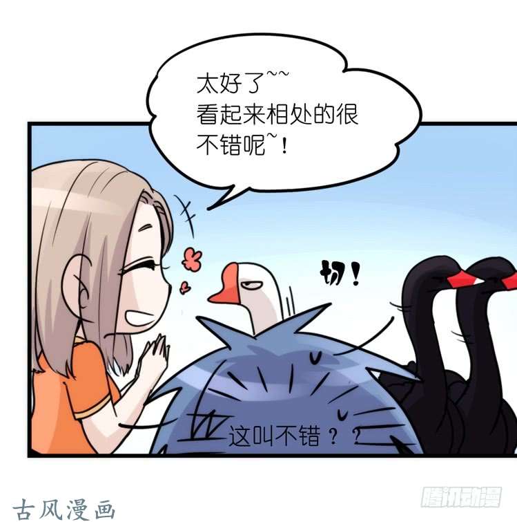 进化之基家有鹅霸：校方认证彩虹风景线