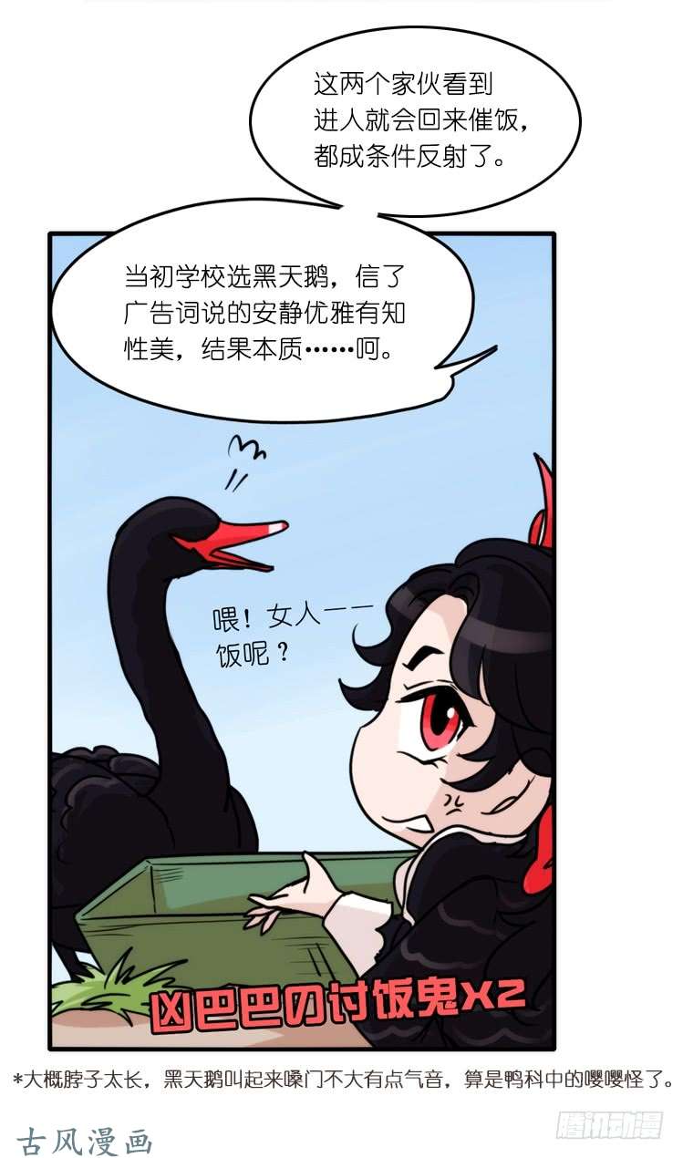 进化之基家有鹅霸：校方认证彩虹风景线