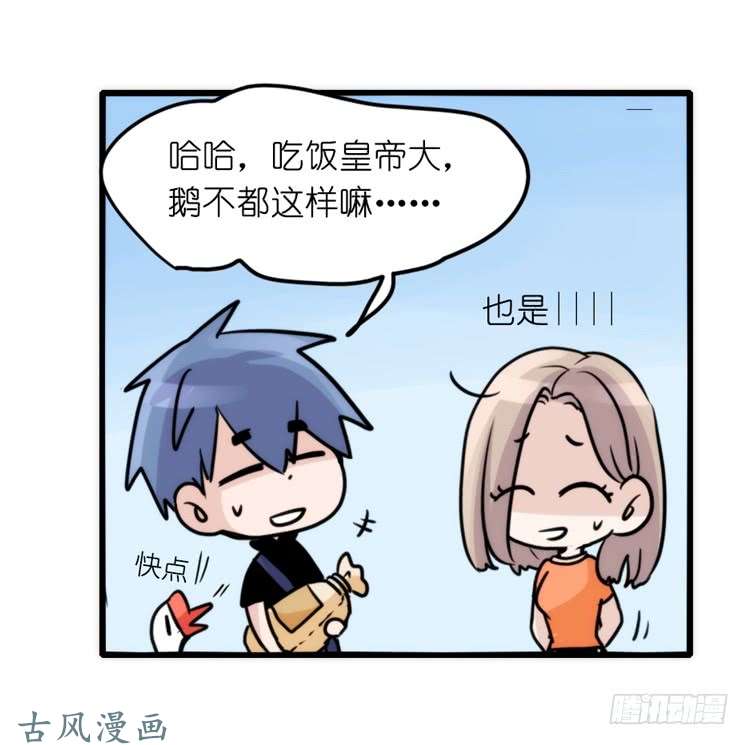 进化之基家有鹅霸：校方认证彩虹风景线