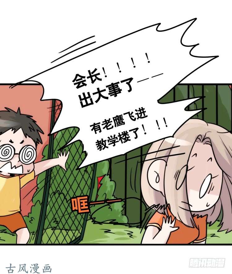进化之基家有鹅霸：黑恶势力来袭？！