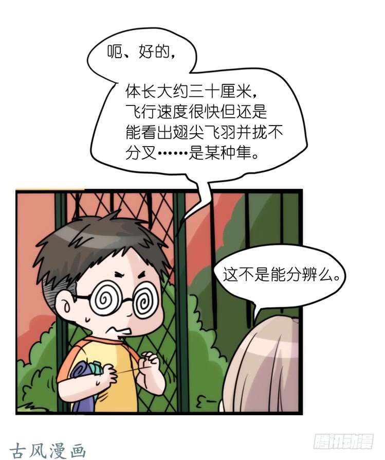 进化之基家有鹅霸：黑恶势力来袭？！