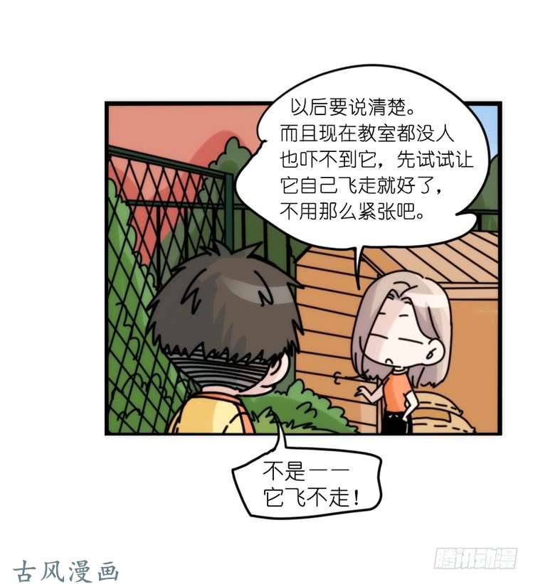 进化之基家有鹅霸：黑恶势力来袭？！