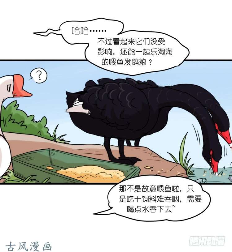 进化之基家有鹅霸：黑恶势力来袭？！