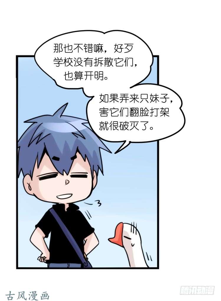 进化之基家有鹅霸：黑恶势力来袭？！