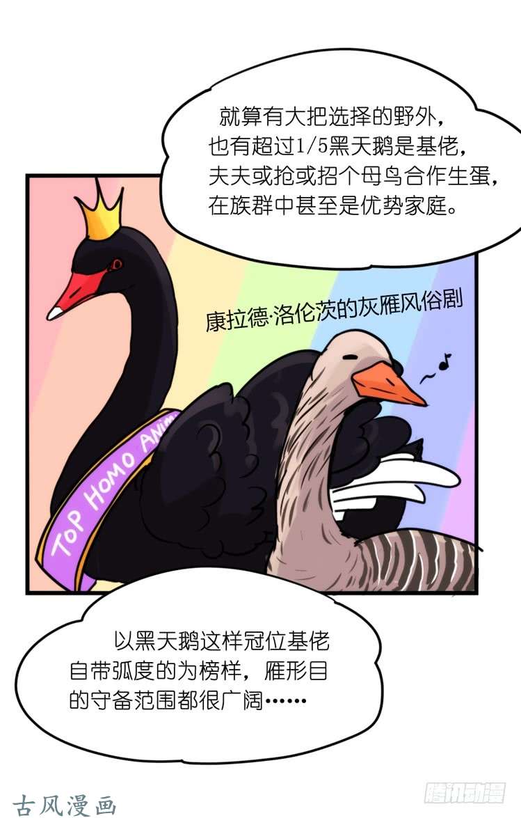 进化之基家有鹅霸：黑恶势力来袭？！