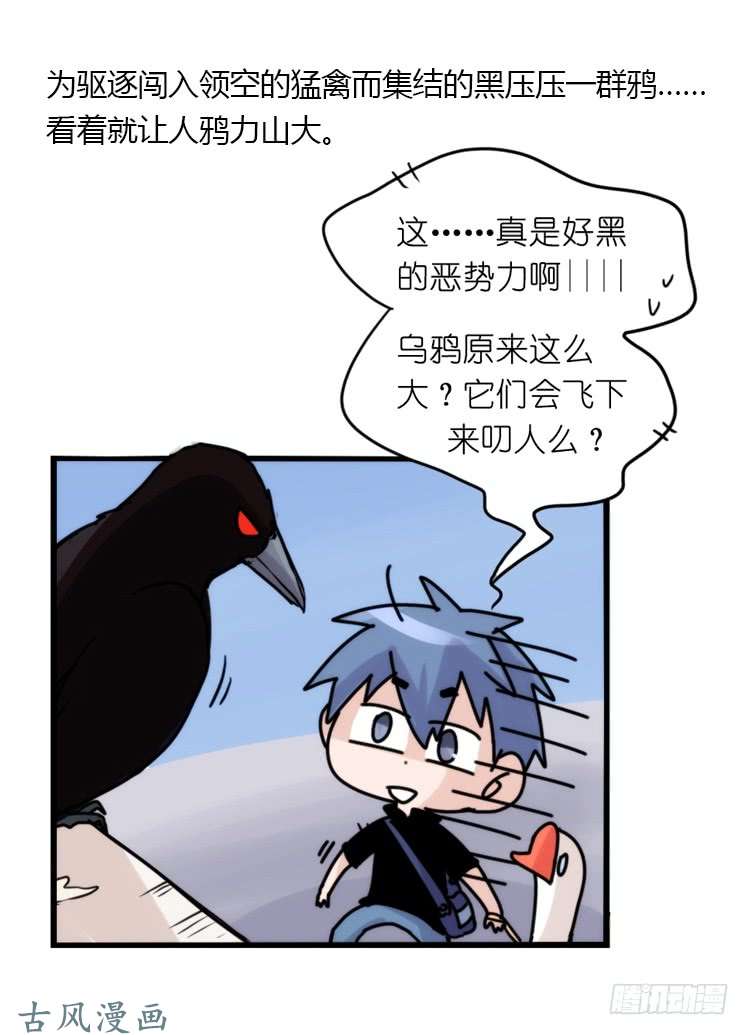 进化之基家有鹅霸：霸系鸟类巅峰对决