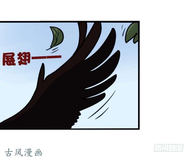 进化之基家有鹅霸：霸系鸟类巅峰对决