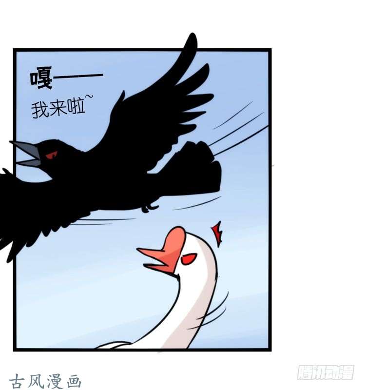 进化之基家有鹅霸：霸系鸟类巅峰对决