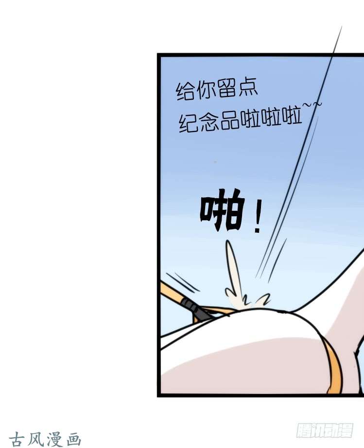 进化之基家有鹅霸：霸系鸟类巅峰对决