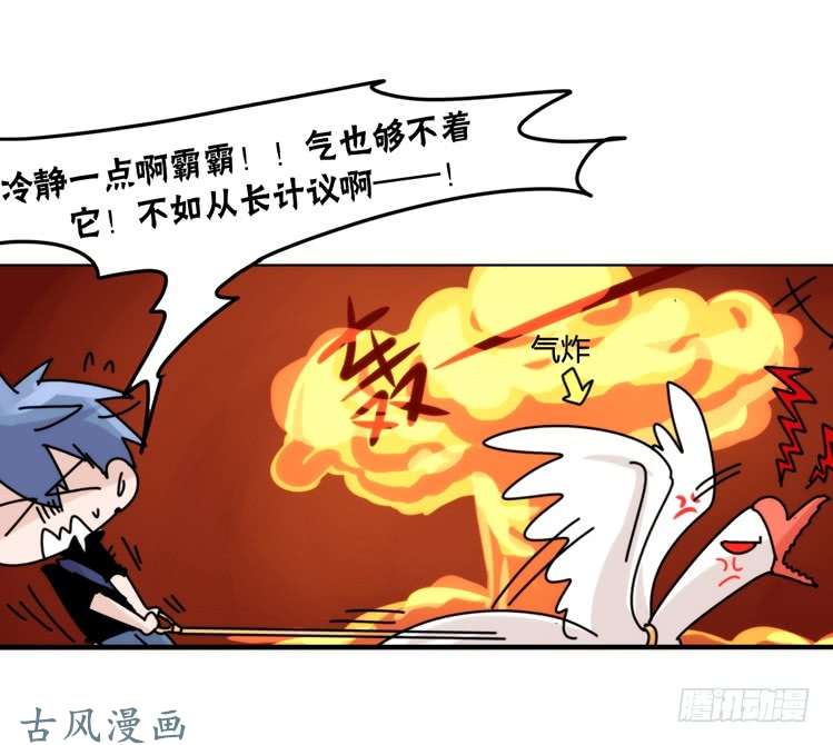 进化之基家有鹅霸：霸系鸟类巅峰对决