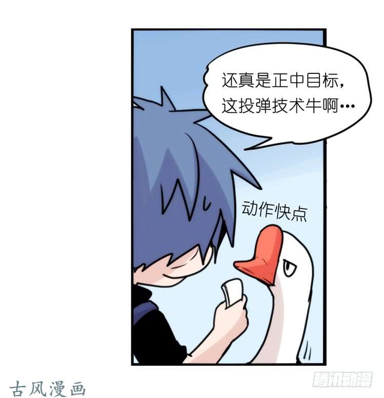 进化之基家有鹅霸：霸系鸟类巅峰对决