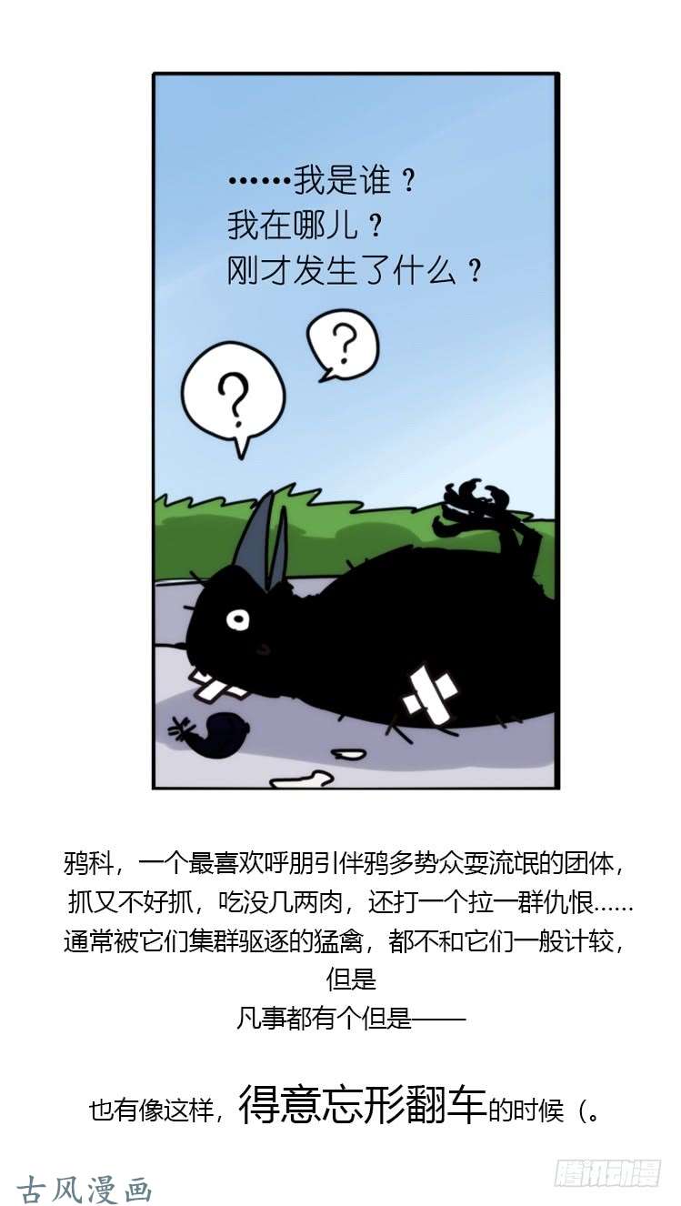 进化之基家有鹅霸：霸系鸟类巅峰对决