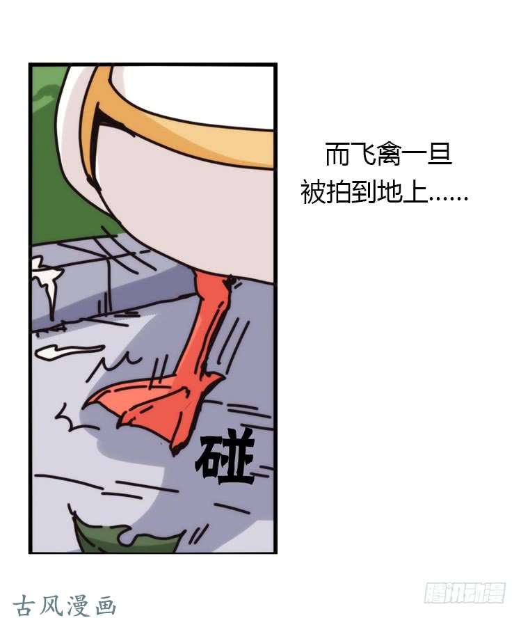 进化之基家有鹅霸：霸系鸟类巅峰对决