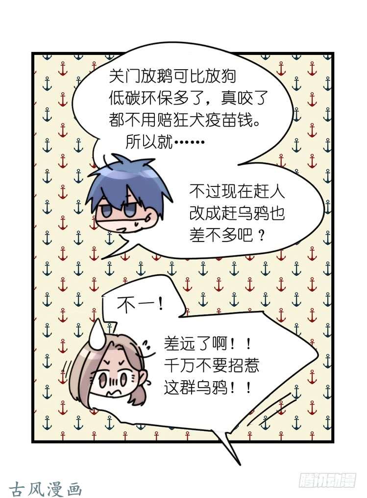进化之基家有鹅霸：霸系鸟类巅峰对决