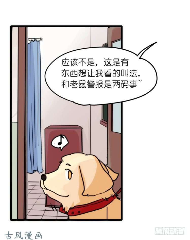 进化之基家有鹅霸：拯救大兵红隼