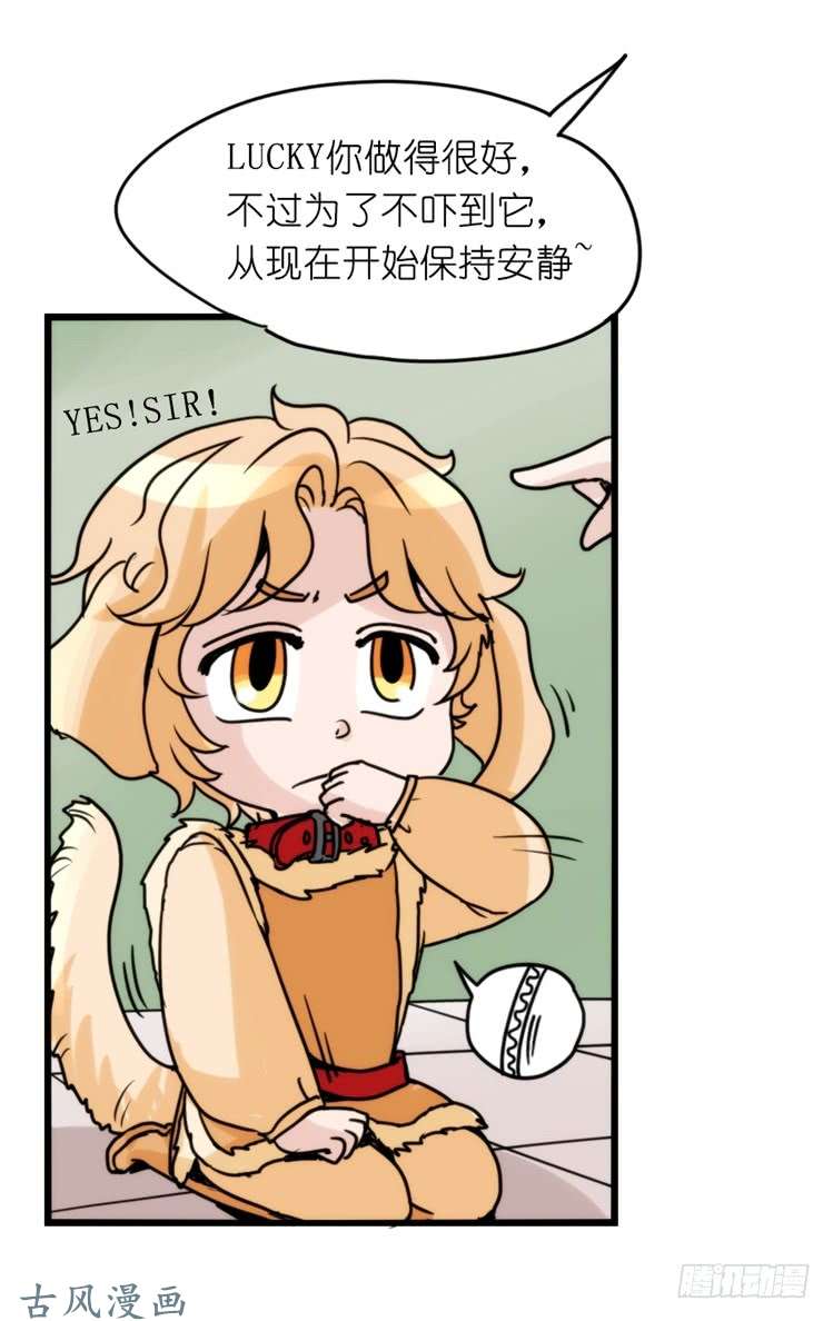 进化之基家有鹅霸：拯救大兵红隼