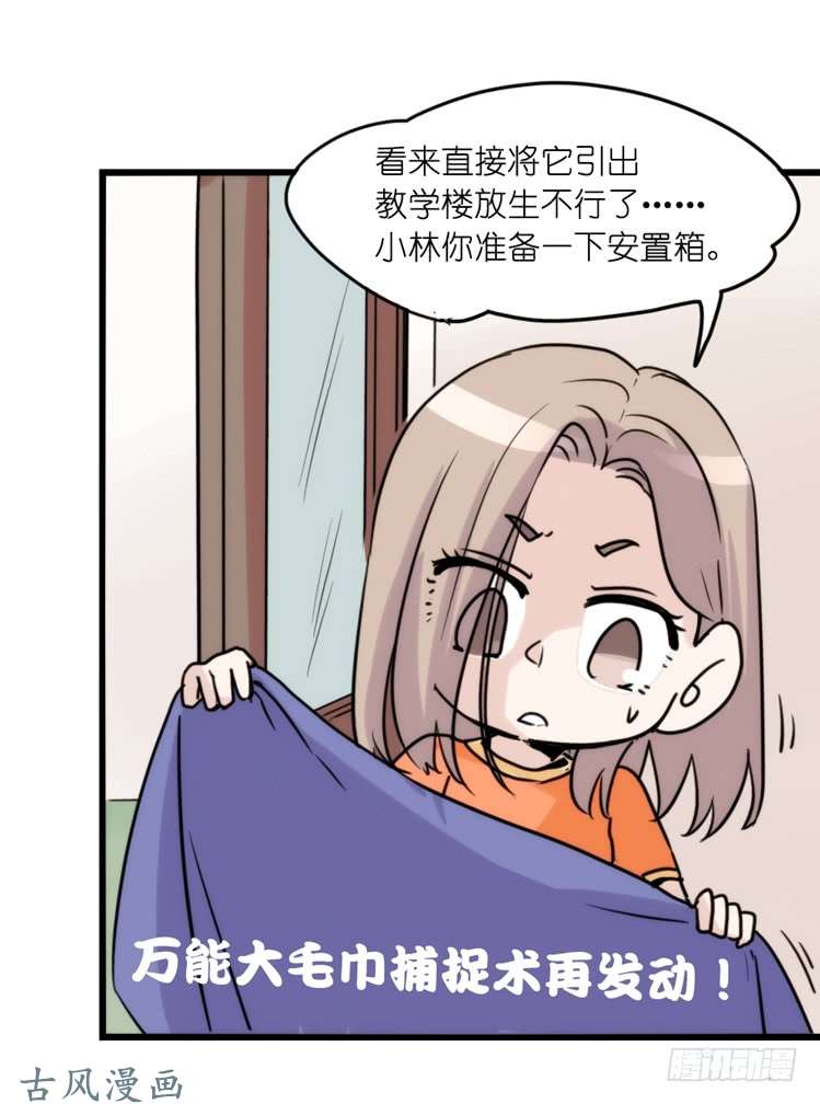 进化之基家有鹅霸：拯救大兵红隼