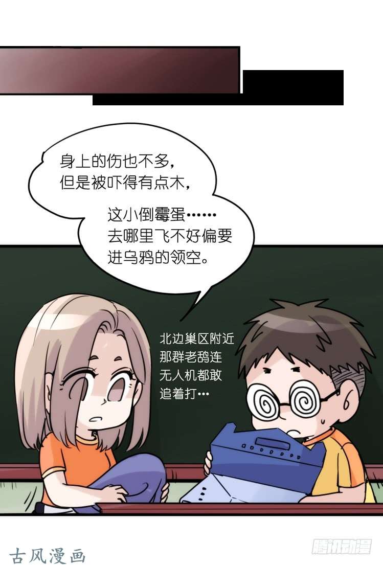 进化之基家有鹅霸：拯救大兵红隼