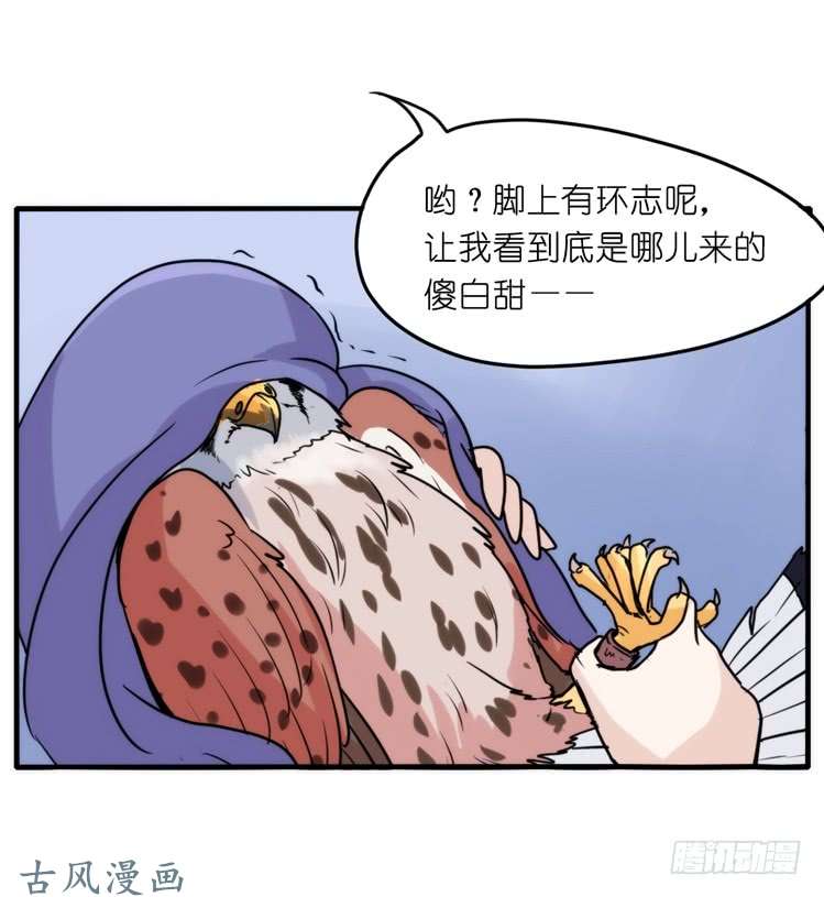 进化之基家有鹅霸：拯救大兵红隼