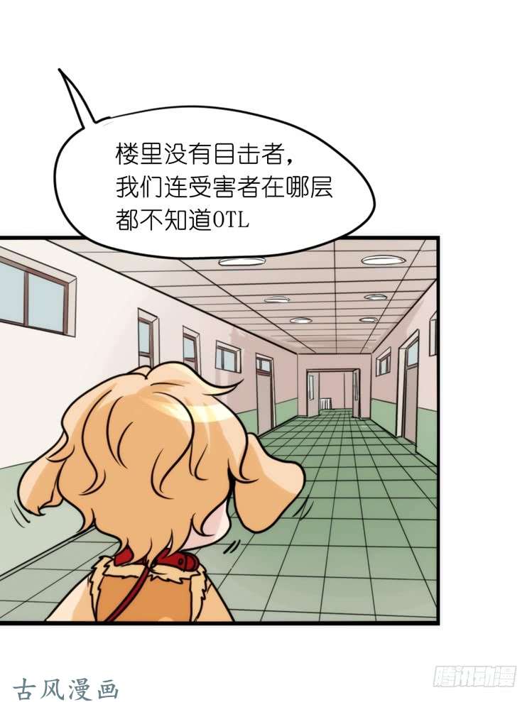进化之基家有鹅霸：拯救大兵红隼