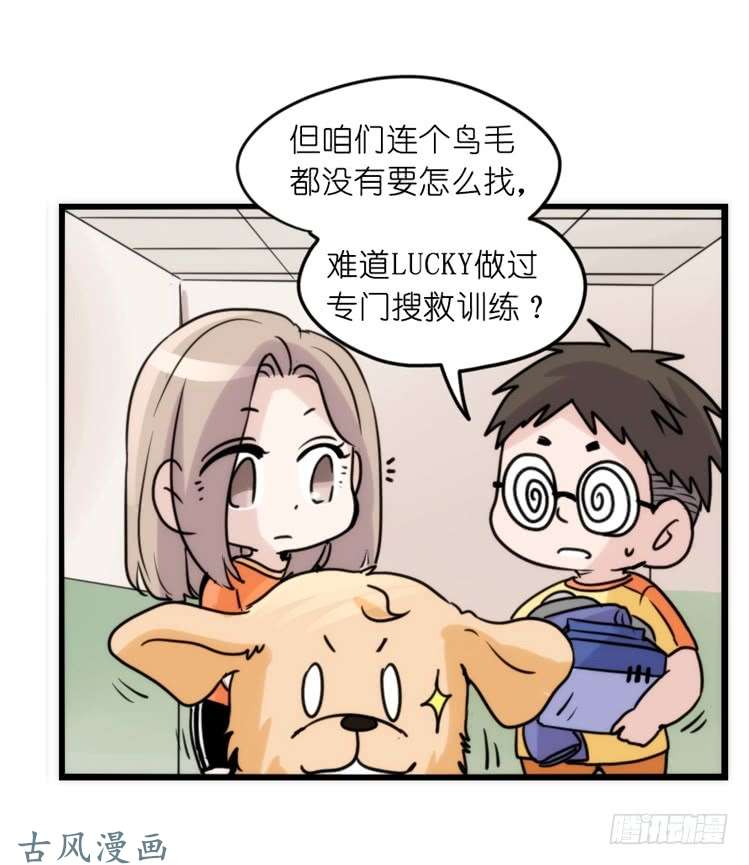 进化之基家有鹅霸：拯救大兵红隼