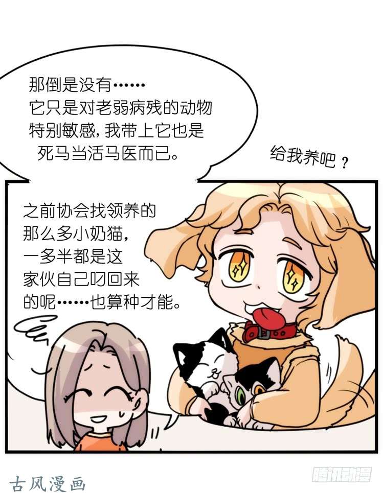 进化之基家有鹅霸：拯救大兵红隼