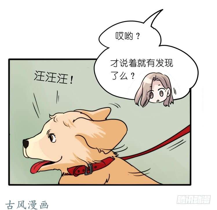 进化之基家有鹅霸：拯救大兵红隼