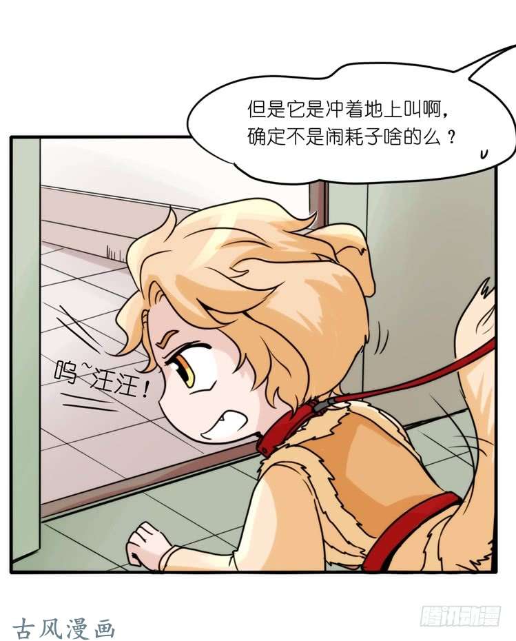 进化之基家有鹅霸：拯救大兵红隼