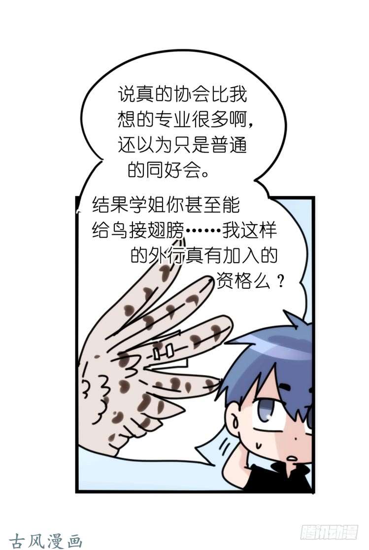 进化之基家有鹅霸：患难见真……啥？