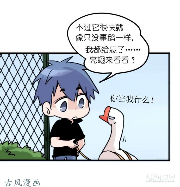 进化之基家有鹅霸：患难见真……啥？